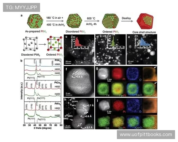 PT电子结构与其磁性行为之间的关系及潜在应用前景分析