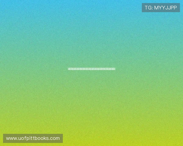 世界杯期间摩洛哥对海地交通攻略实用指南帮助球迷轻松抵达比赛现场
